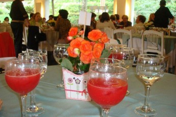 cha-nossa-senhora-do-brasil-09