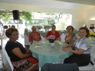 Chá Nossa Senhora do Brasil